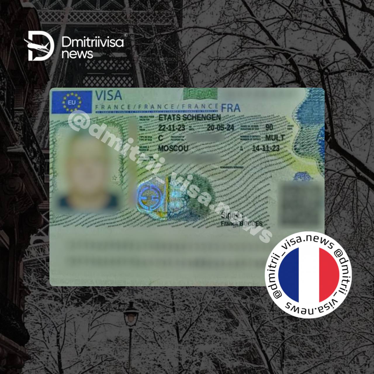 Полугодовая виза во Францию